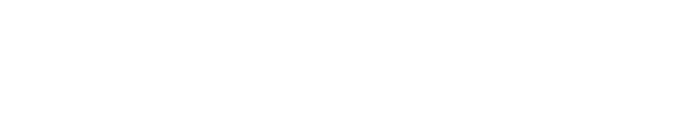 Automobile Carrera